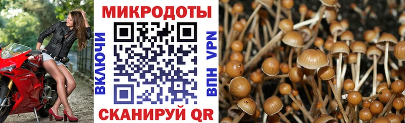 Псилоцибиновые грибы GOLDEN TEACHER Карталы